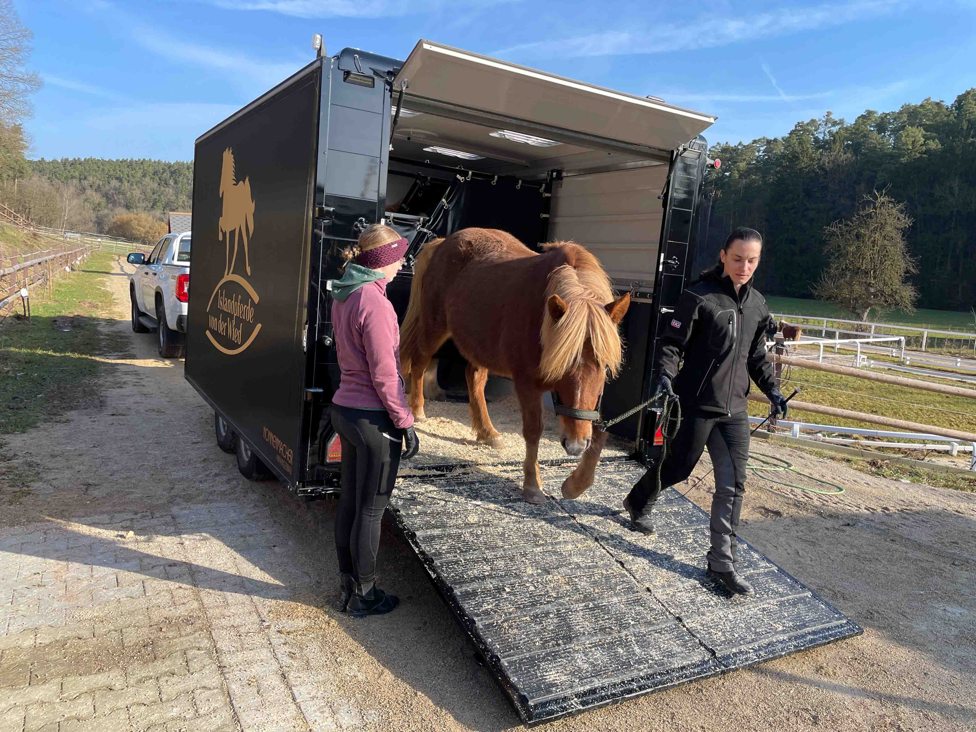 Pferdeführerschein Kurs