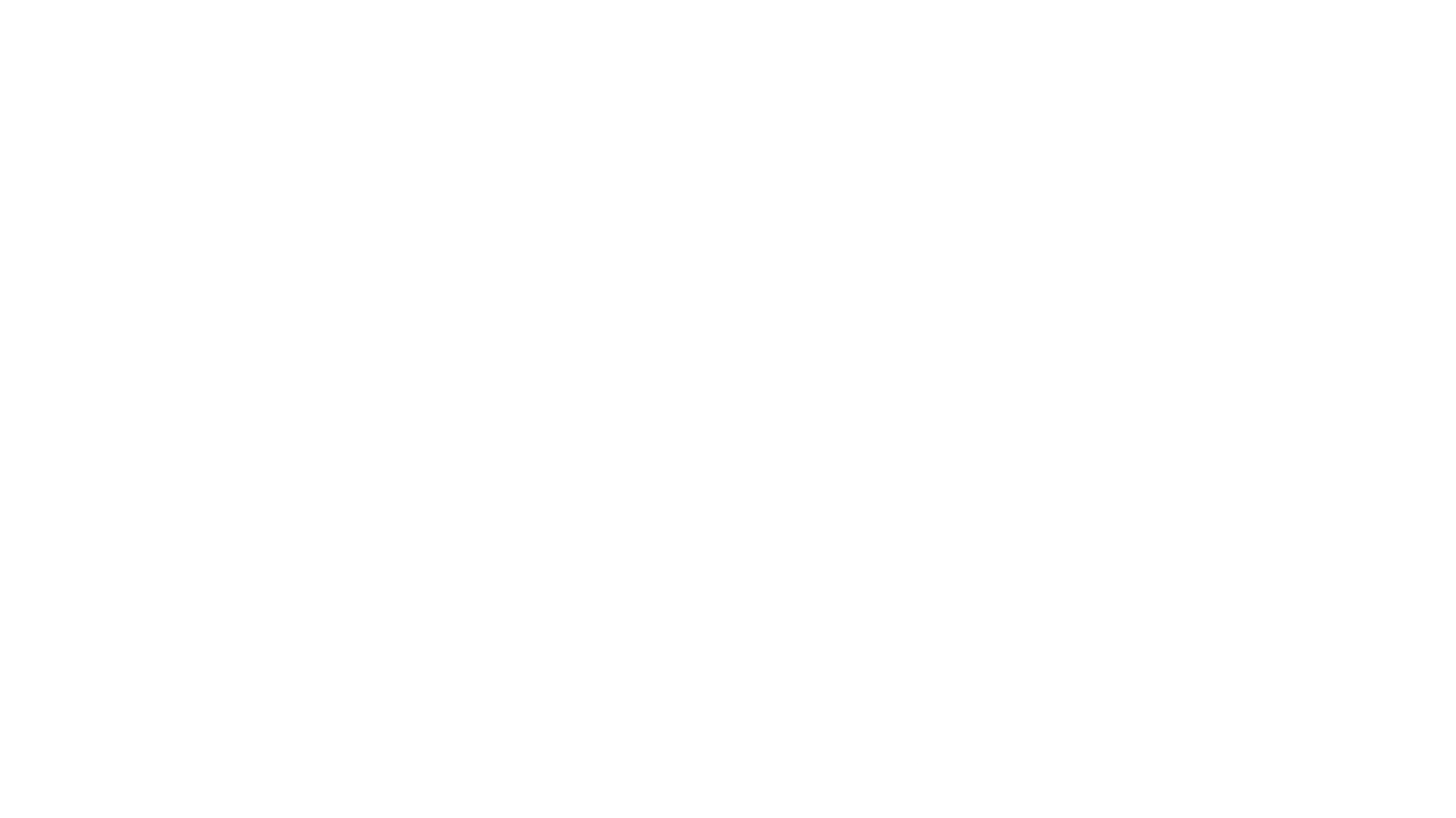 Islandpferde von der Wied
