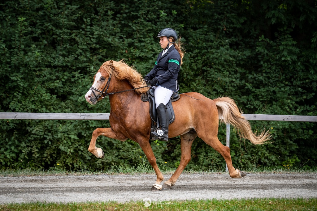 frá Gauksmyri geritten Tölt