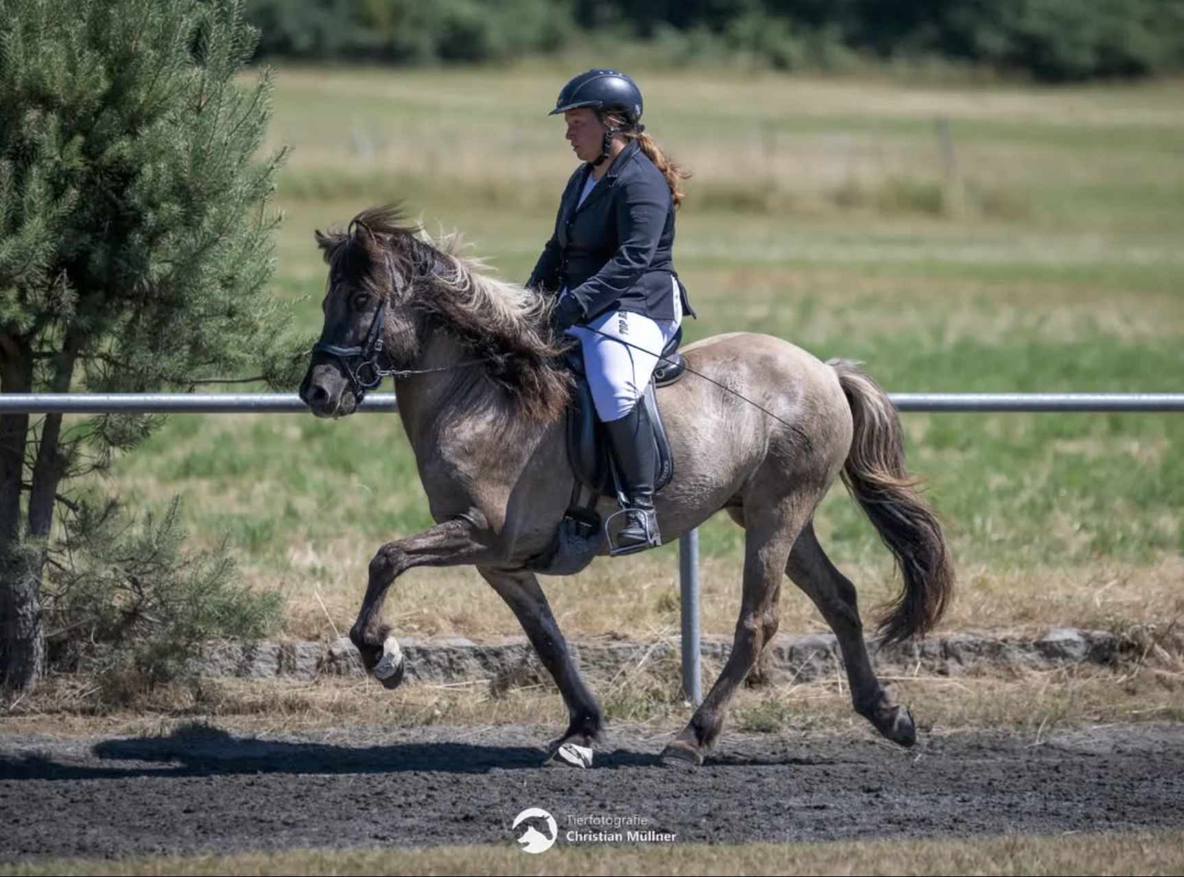 Gandalfur von der Wied geritten Tölt
