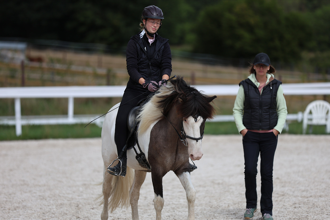 Reitkurs mit Katja Knop