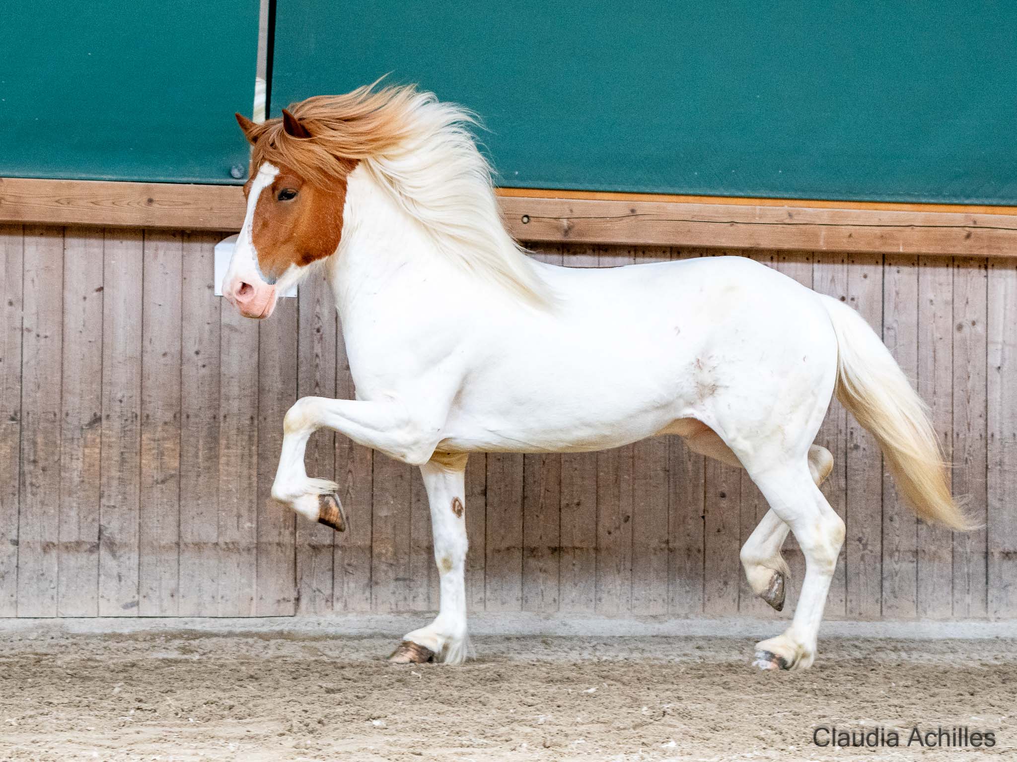 Prins Elvar von der Wied